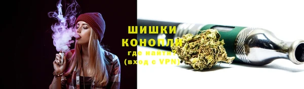 твердый Арсеньев
