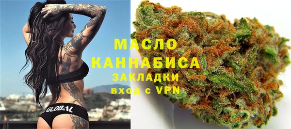твердый Арсеньев